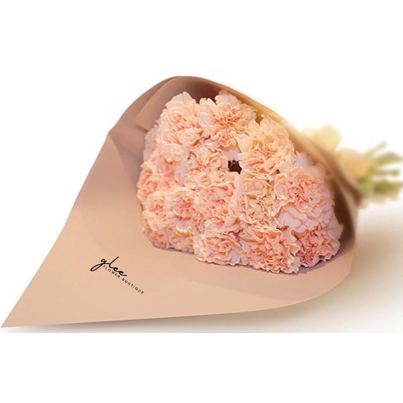 Carnation Pastel