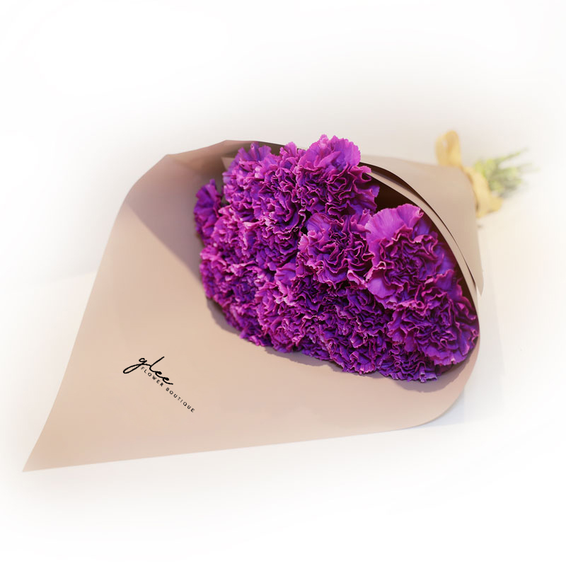 Carnation Purple