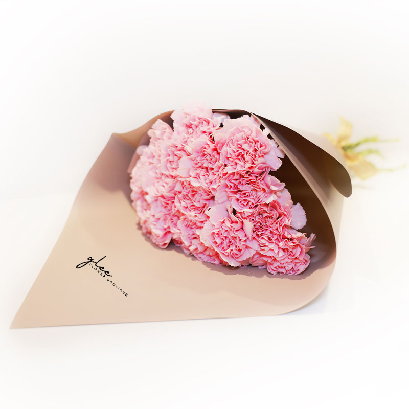 Carnation pink