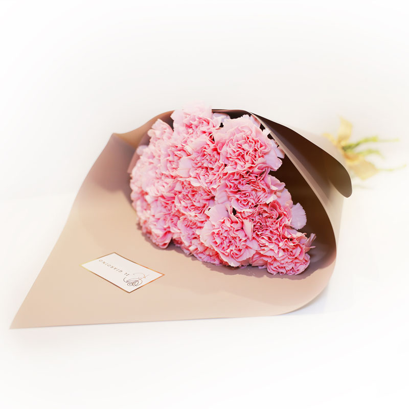 Carnation pink