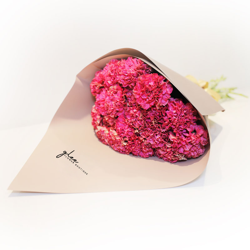 Carnation red