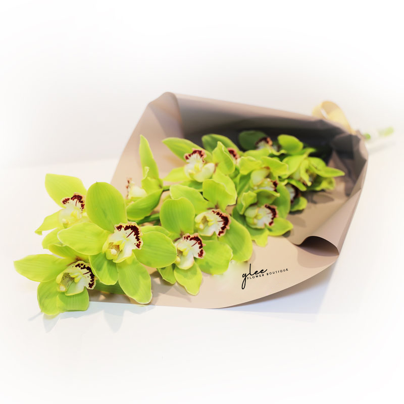 Green Cymbedium Orchids