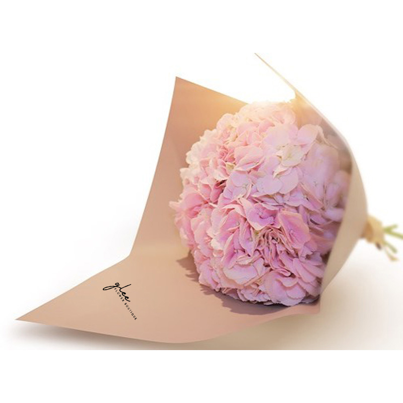 Hydrangeas Pink