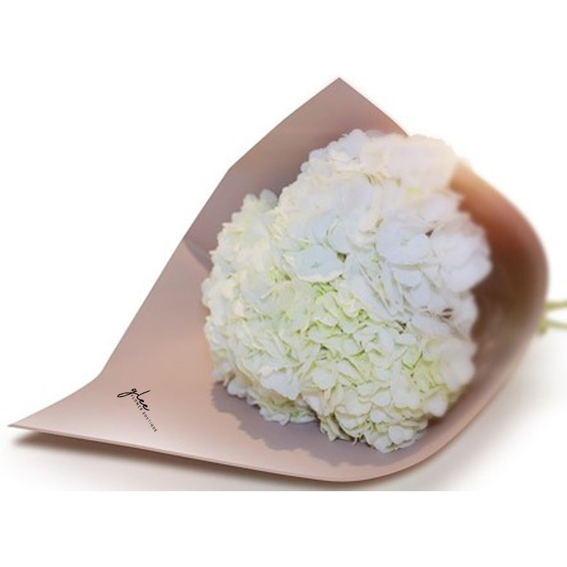 Hydrangeas white