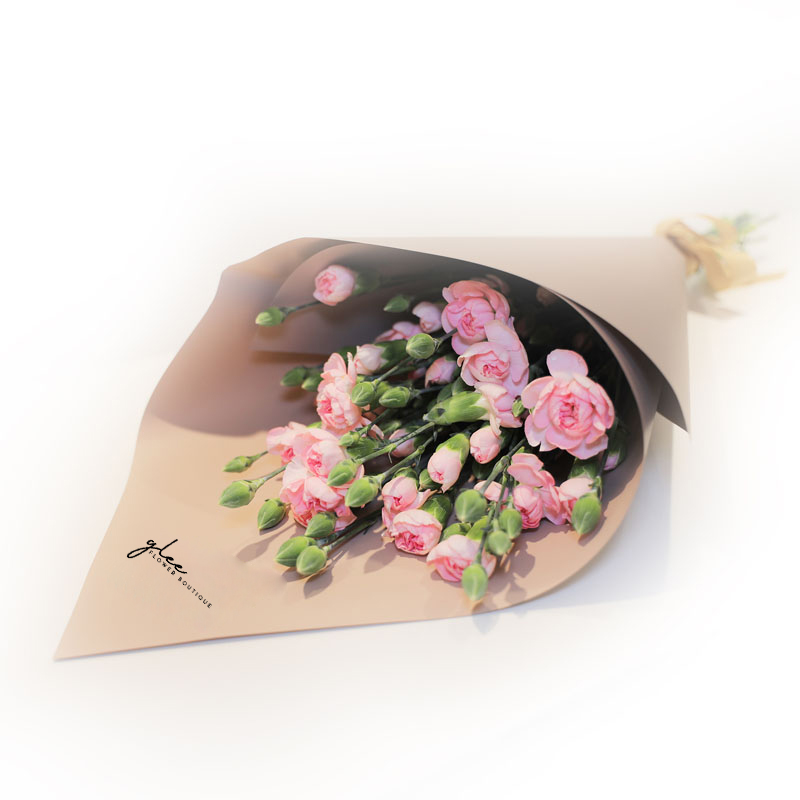 Pink Spray Carnation