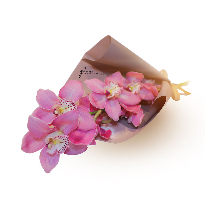 Pink Cymbedium Orchids