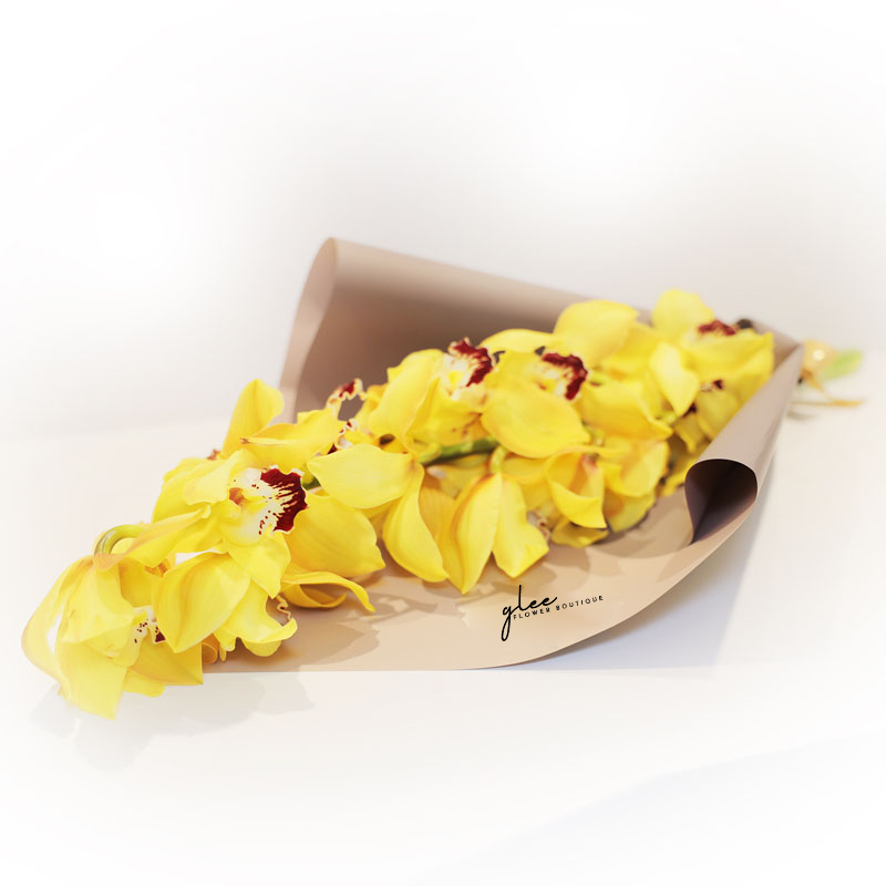 Yellow Cymbedium Orchids