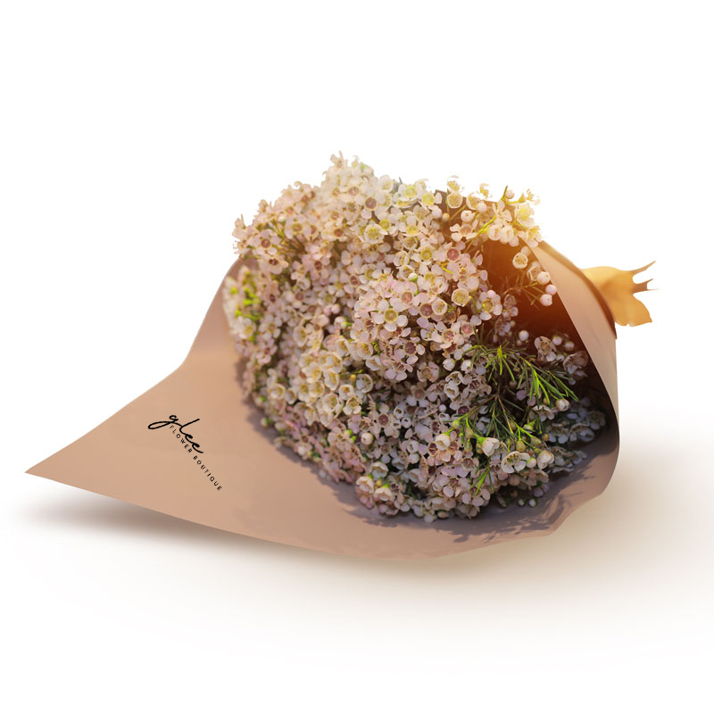 Wax Flowers