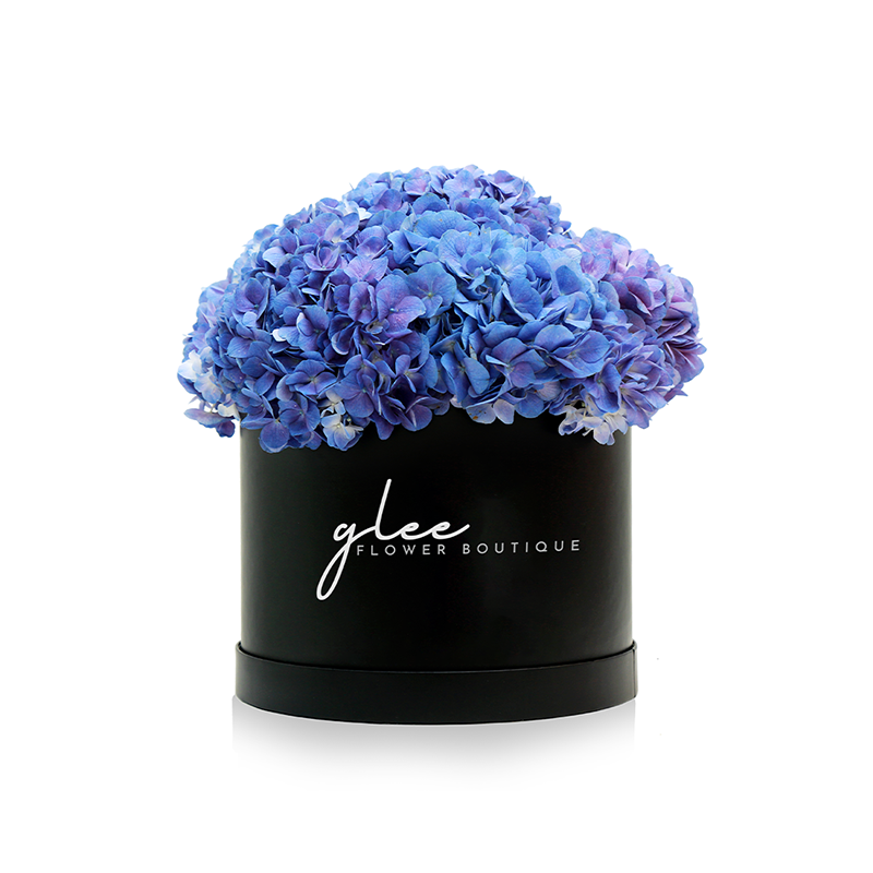 Large Box of Hydrangeas (Black box/White box)