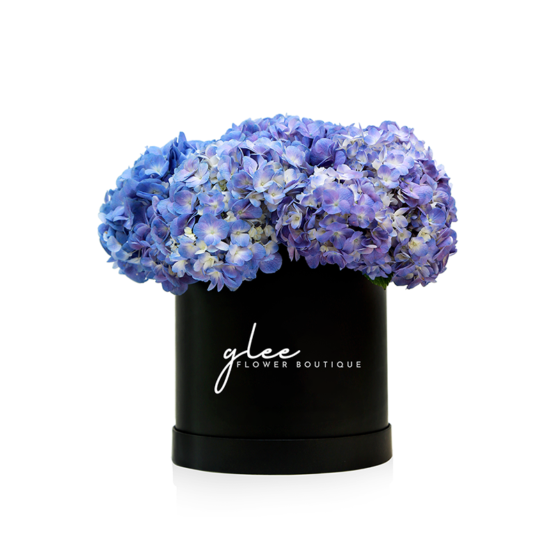 Medium Box of Hydrangeas (Black box/White box)