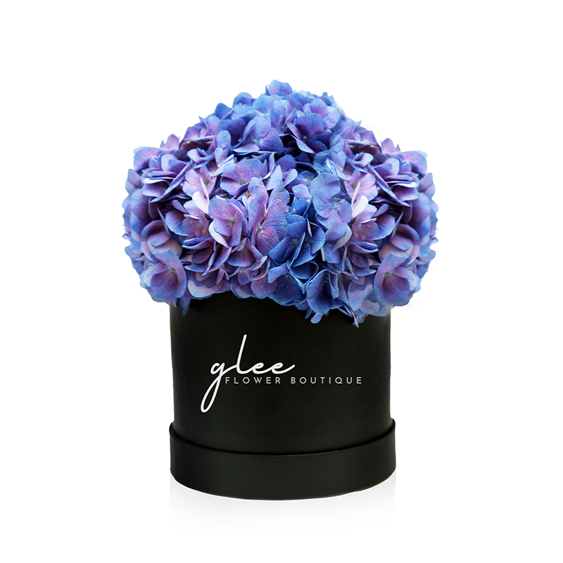 Small Box of Hydrangeas (Black box/White box)