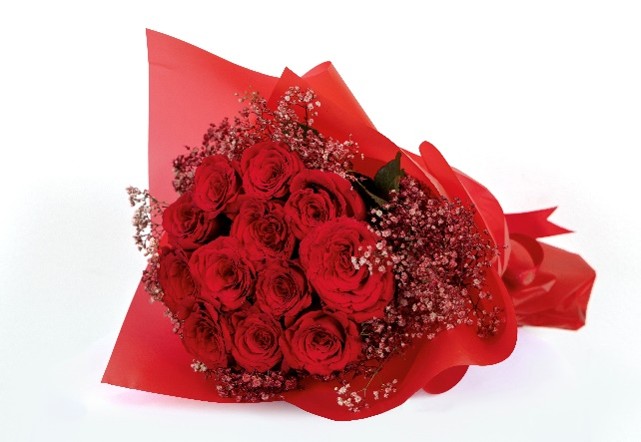Dozen Roses