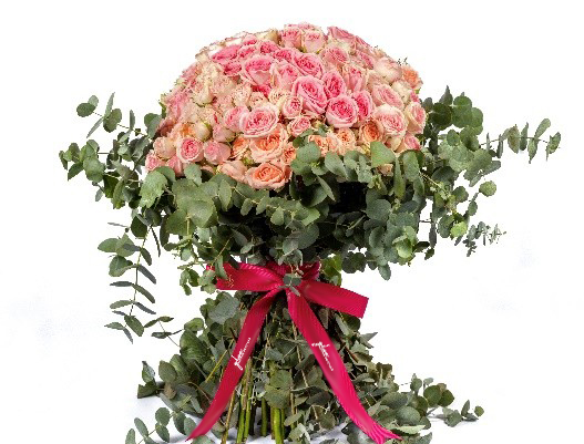 Classic Pink Roses 2