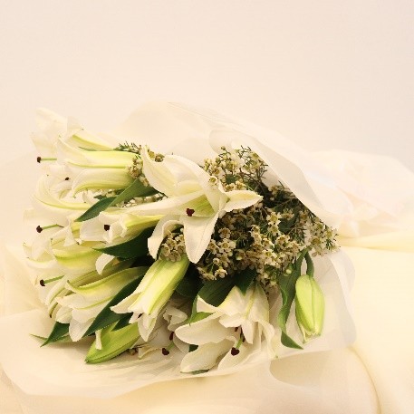 White Lily