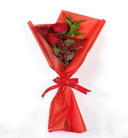 3 Red Roses