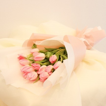 Pink Tulips