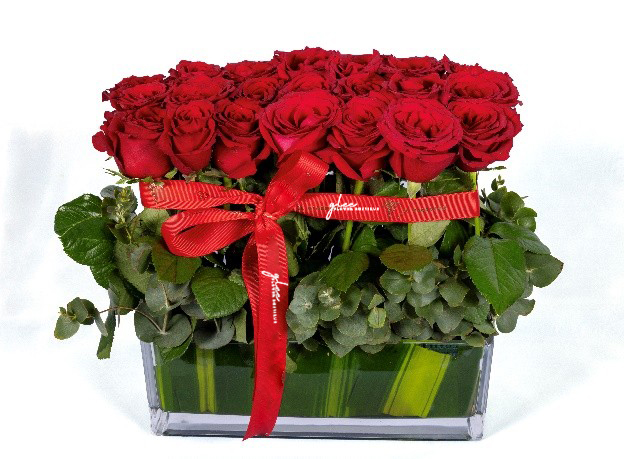 Red Roses in vase