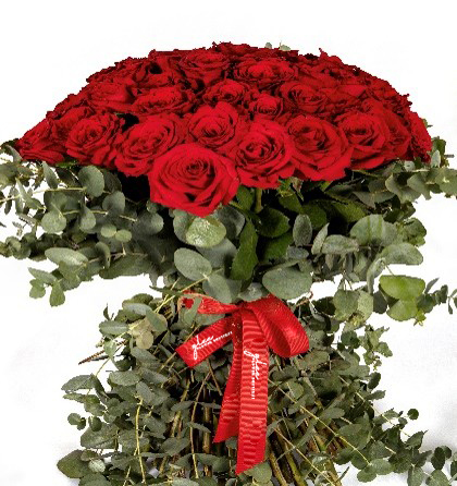 Classic Red Roses